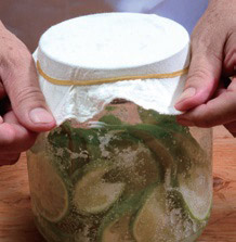 一步步成功釀醋:自製檸檬醋_img_10