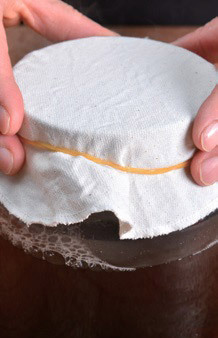 一步步成功釀醋:自製檸檬醋_img_15