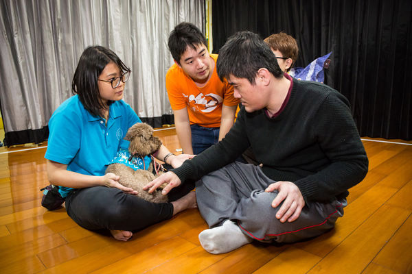 動物輔療不簡單,讓療癒犬打開身障者的心_img_1