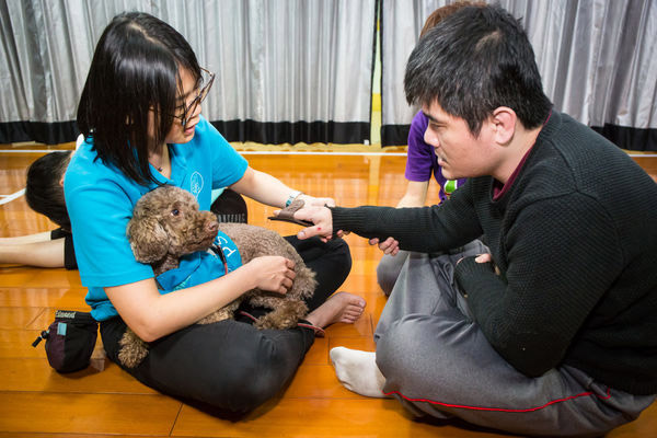 動物輔療不簡單,讓療癒犬打開身障者的心_img_2