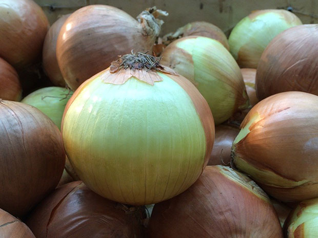 網票選「8 大最難吃蔬菜」都超營養,不吃虧大了!_img_2