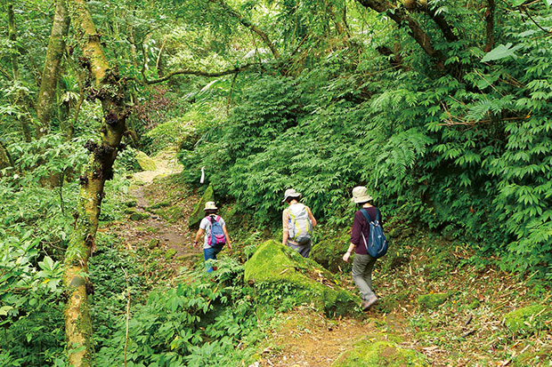 基本裝備不可少!走入大自然的行前準備_img_1