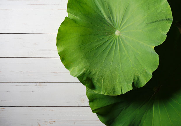 中醫推這食材,解決痰濕體質更幫助瘦身_img_1