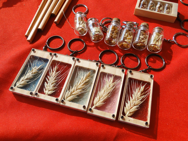 膳食纖維比糙米豐富!認識本土的「五穀之尊」:小麥_img_1