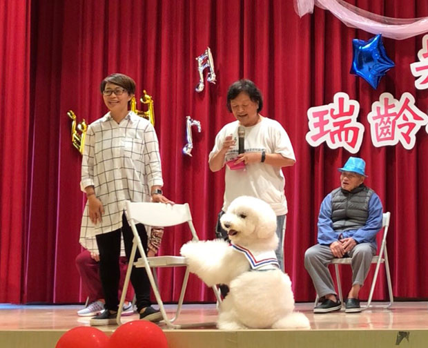 超萌治療犬的陪伴,增加失智長者互動_img_1