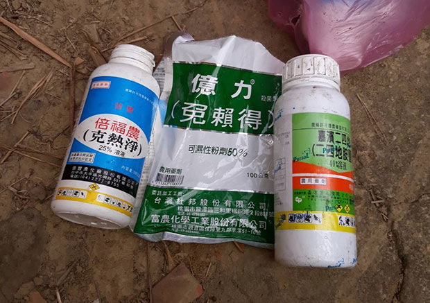 網傳柑橘會泡藥所以能半年不壞?乳白色液體是什麼?_img_2