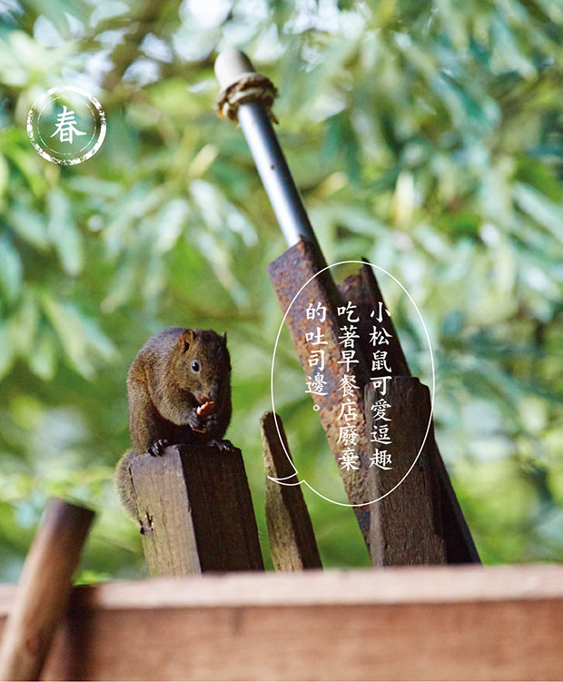 閒下來才體會到何謂生活!蔬食達人與日本丈夫的山居人生_img_2