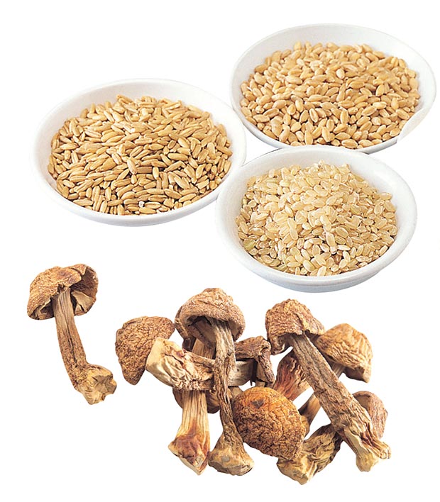 抗癌食材就看這篇!每週攝取 7 色蔬果輔助化療飲食_img_4