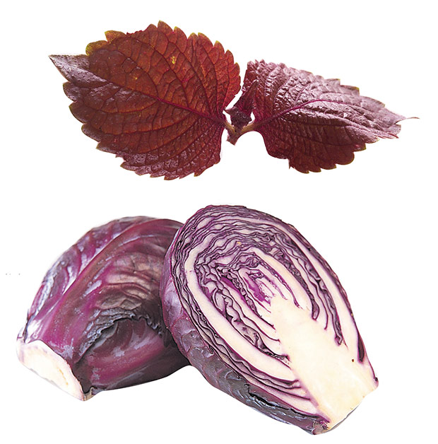 抗癌食材就看這篇!每週攝取 7 色蔬果輔助化療飲食_img_6