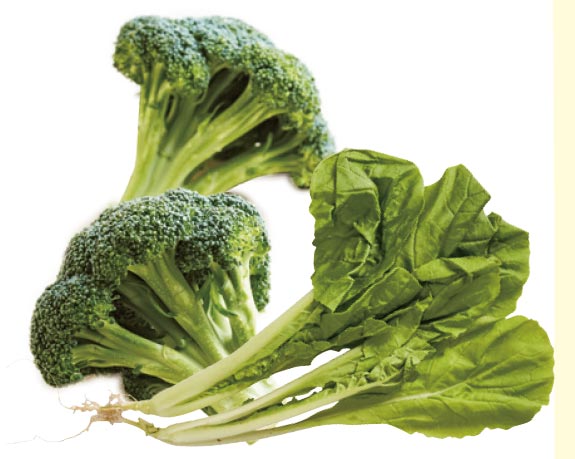 小孩也能吃素嗎?避免缺鐵缺鈣,重要營養素一定要補齊_img_4