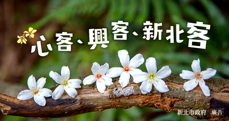 心客、興客、新北客